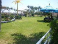 /album/immagini/giardino-stabilimento-jpg/